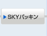 SKYパッキン